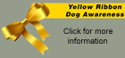 Click to find out more about the Yellow ribbon program